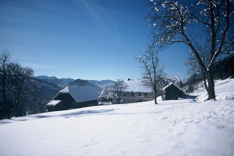Winterwandern am Panoramaweg Steinbach
