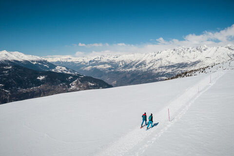 Panoramatrail Visperterminen