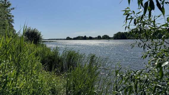Photo de thschoe le long du parcours