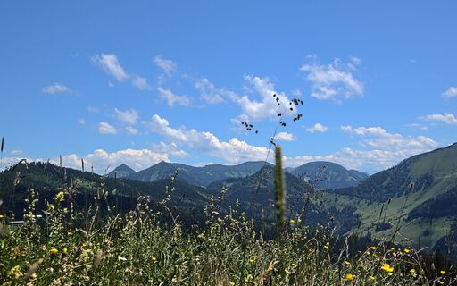 Von der Spielbergalm nach Südosten