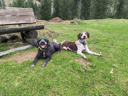 Foto von Ronny7103 entlang der Tour