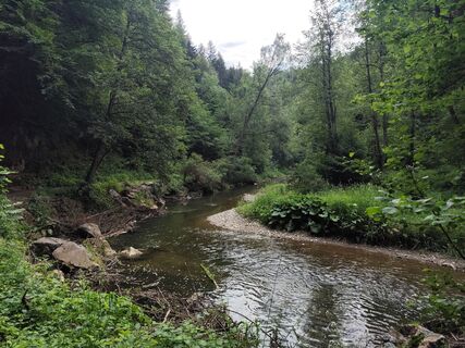 Photo de Barbara Galle le long du parcours