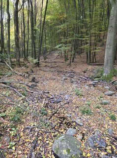 Photo de János Zsolt Mahr le long du parcours