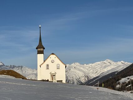 Foto von Zengaffinen Erwin entlang der Tour