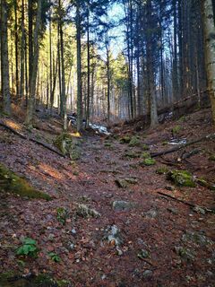 Фото с сайта 3d63 ru^^n3r во время экскурсии