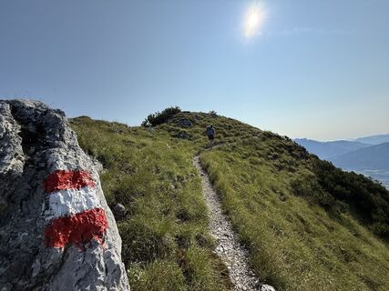 Fotografija s spletne strani Dani Geiger / Natur_erleben_dg na poti
