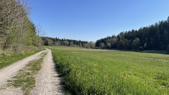 Photo de Radovan Culic le long du parcours