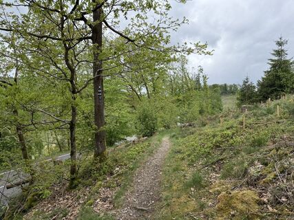Foto de Aslak Behnke a lo largo del recorrido