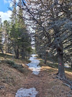 Foto von erich1207 entlang der Tour