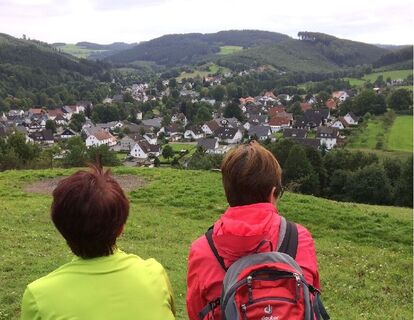 Blick von der Steinert auf Allendorf
