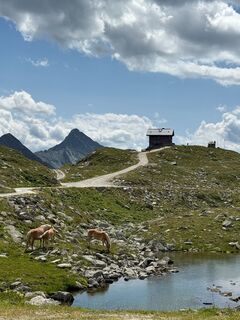 Photo de Oskar Vogel le long du parcours