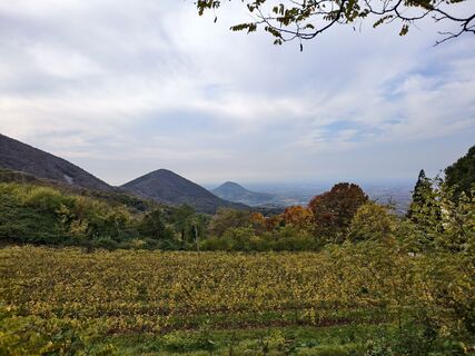 Fotografia z Andrea Treichl na trase