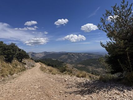 Photo de Andrea Loew le long du parcours