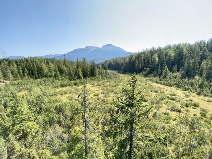 Piller Moor