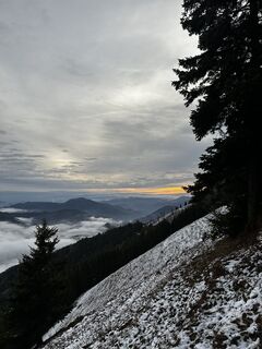 Foto von Fuchsi entlang der Tour