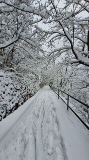 Foto von Regina Fleischmann entlang der Tour