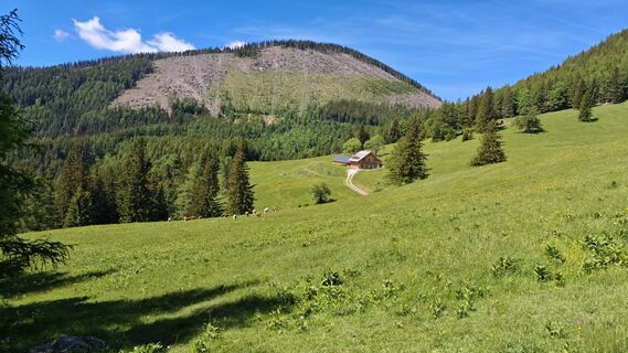 Foto von Bergpirat entlang der Tour