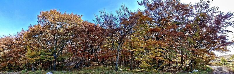 Foto fra Bob Moh underveis på turen