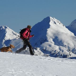 Schneeschuhwandern mit Hund
