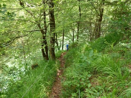 Kräuterhalsrunde