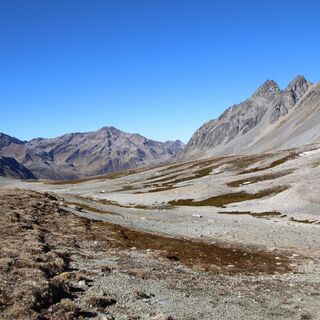 Flesspass und Vereinapass