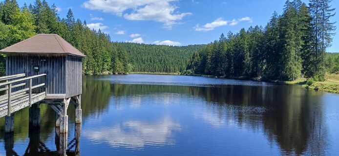 Fotografia z leo schmid na trase