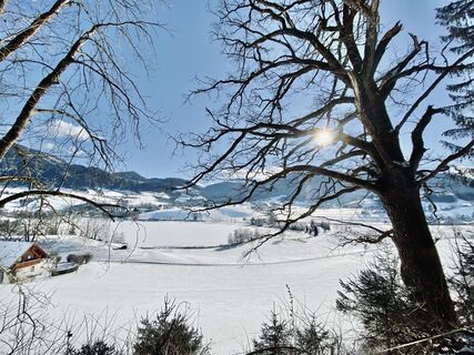 Winterlandschaft am Kulmgipfel