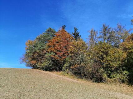 Foto von Christina Turnwald entlang der Tour