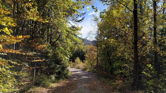 Photo de Wolfgang Arlic 1 le long du parcours