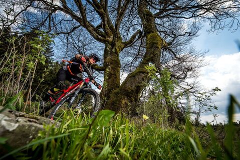 Mountainbikerin vor Baum bei der Abfahrt