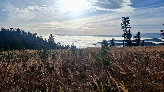 Fotografia z Regina Fleischmann na trase