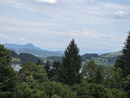 Foto von Christiane Schütz entlang der Tour