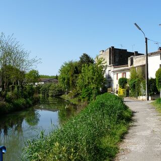 Langoiran bords de l'estey