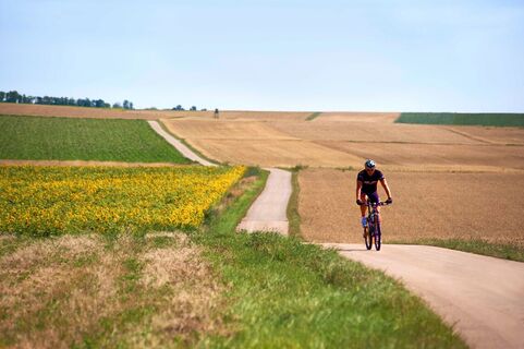 Auf den Feldwegen durchs Weinviertel