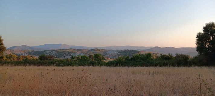 Fotografija s spletne strani Patrice Gouspy na poti