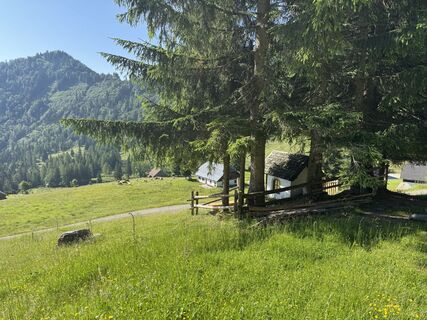 Foto von Birgit Pinwinkler-Andorfer entlang der Tour