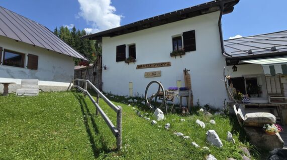 Fotografie de la ChrisWe de-a lungul turului