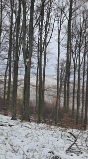 Foto von János Zsolt Mahr entlang der Tour
