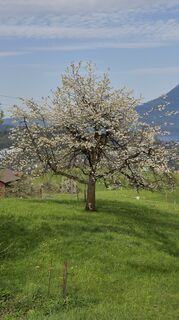 Photo de Thomi W le long du parcours