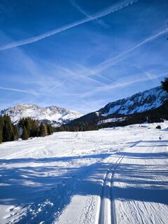 Foto von Mirko Stefani entlang der Tour