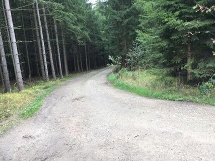 Wanderweg Nr. 33, Natur