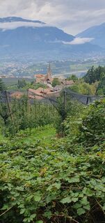 Foto von R Fuchs entlang der Tour
