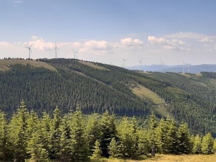 Aufstieg zum Roseggerhaus (1540m)