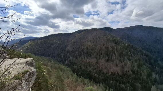 Foto de Vladimira Oleksikova a lo largo del recorrido