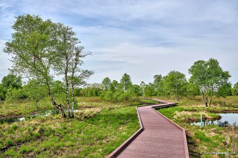 Moorerlebnispfad im Ahlenmoor