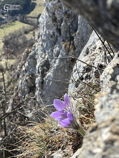 ÖTK Steig