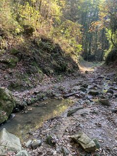 Foto da Andrea Morotti lungo il tour