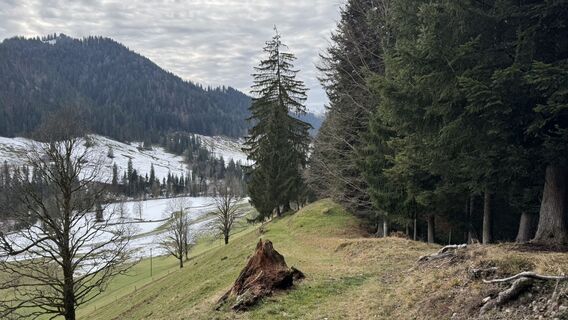 Foto von peter_oe entlang der Tour