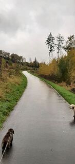 Foto de Volker Toelle a lo largo del recorrido