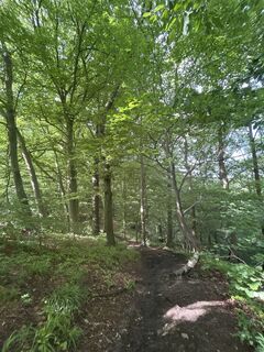 Foto von Robert Christiaans entlang der Tour